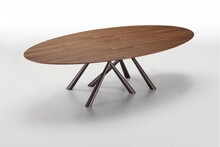 Owalny stół FOREST 280x120 MIDJ