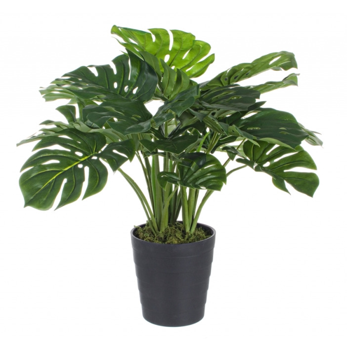 Sztuczny filodendron H65