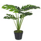 Sztuczny filodendron H60