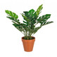 Sztuczny filodendron H45