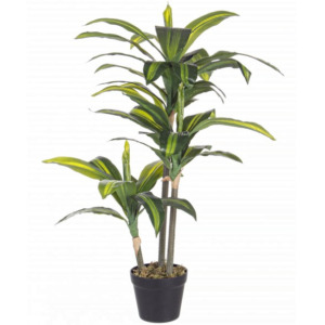 Sztuczna dracena H88